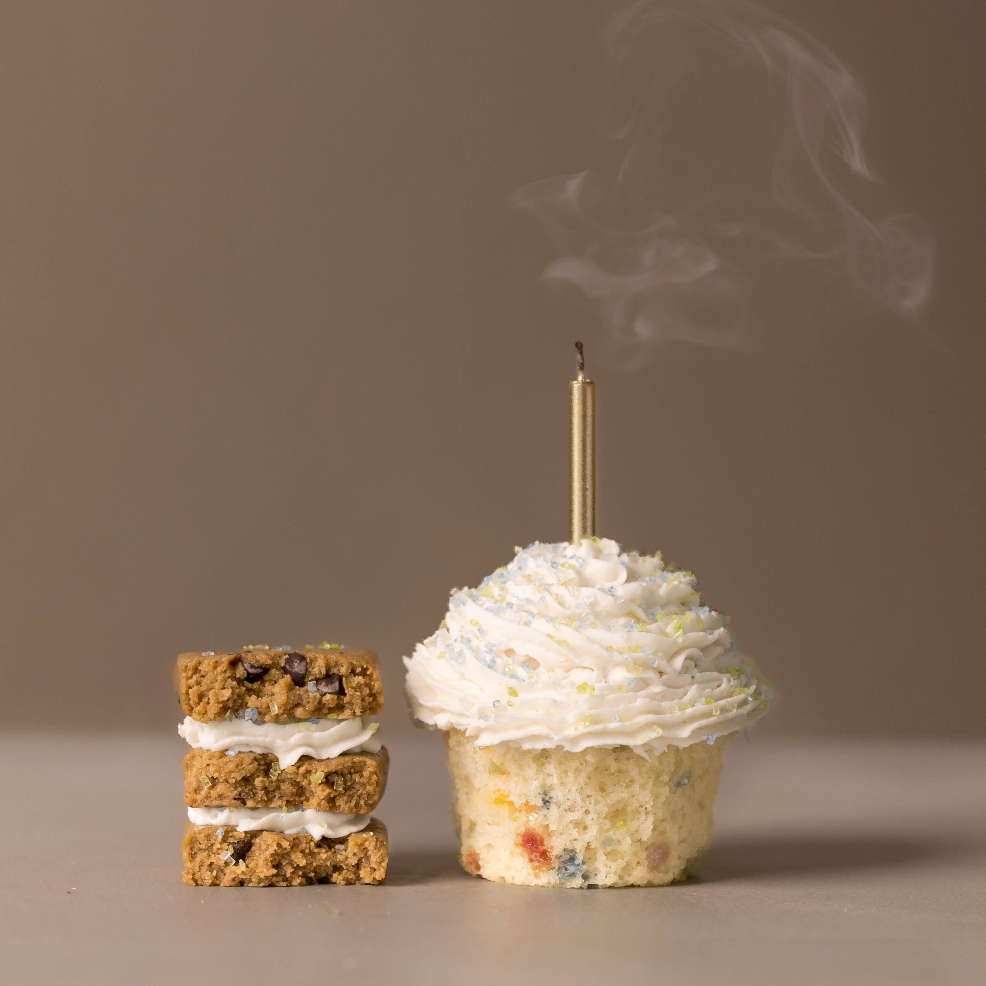 Birthday Cake Chocolate Chip Protein Bar