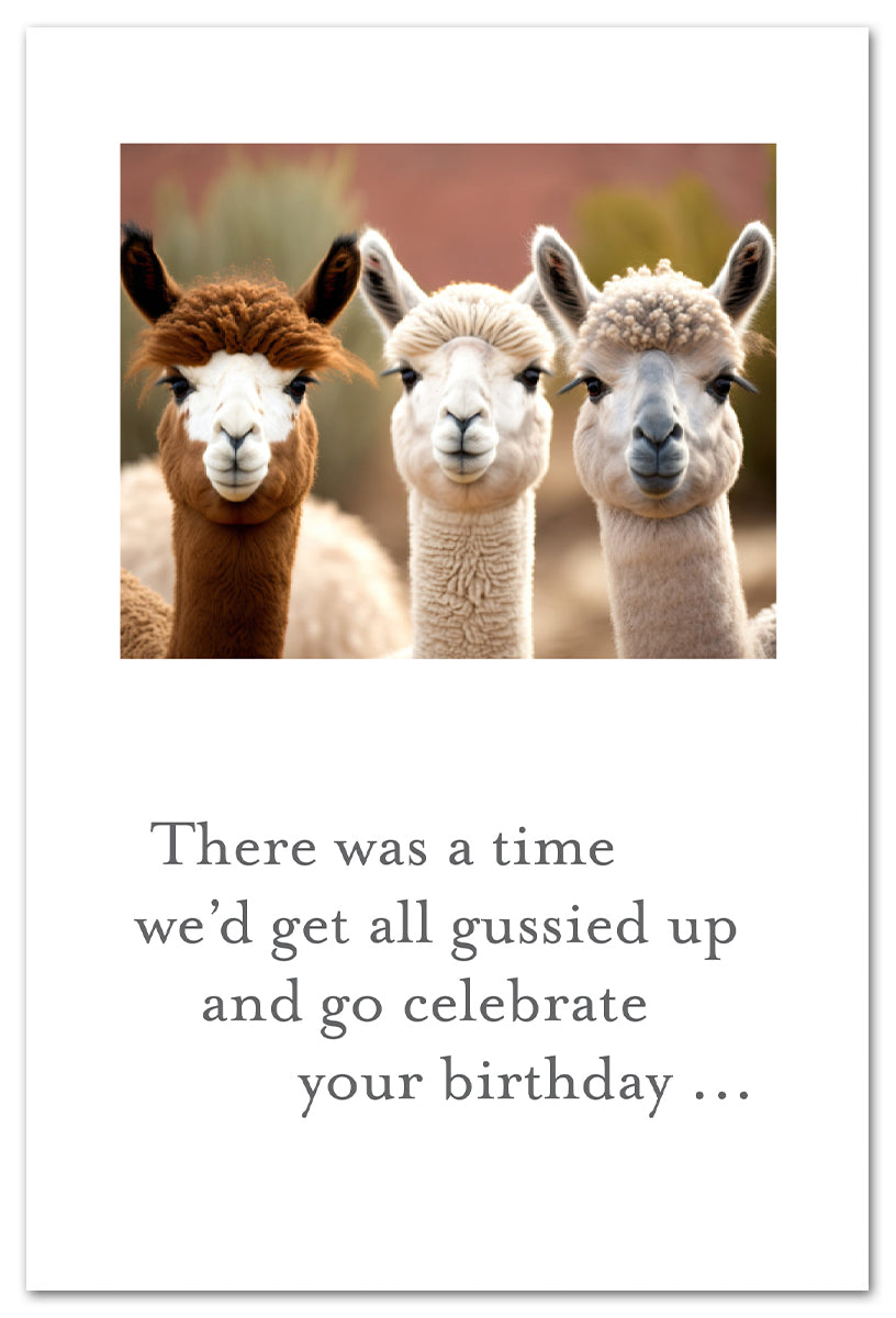 Alpaca Pals Card
