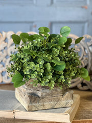 Ashford Eucalyptus Half Sphere, 12"