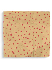 Arrowhead/Heart KC Double-Sided Dish Cloth Set